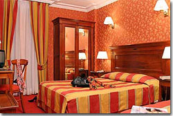 Hotel de la Paix Paris - Hotel 3* star Paris near Montparnasse Left Bank and St-Germain.  